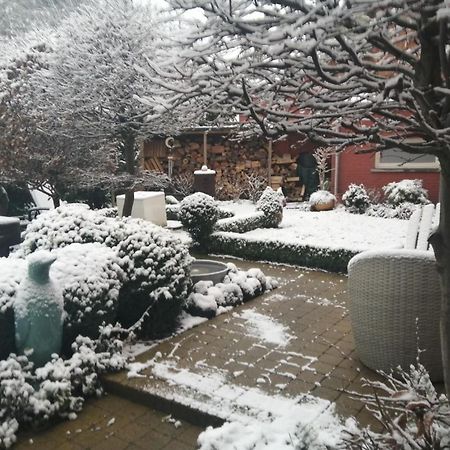 Adamas B&B Dendermonde Esterno foto