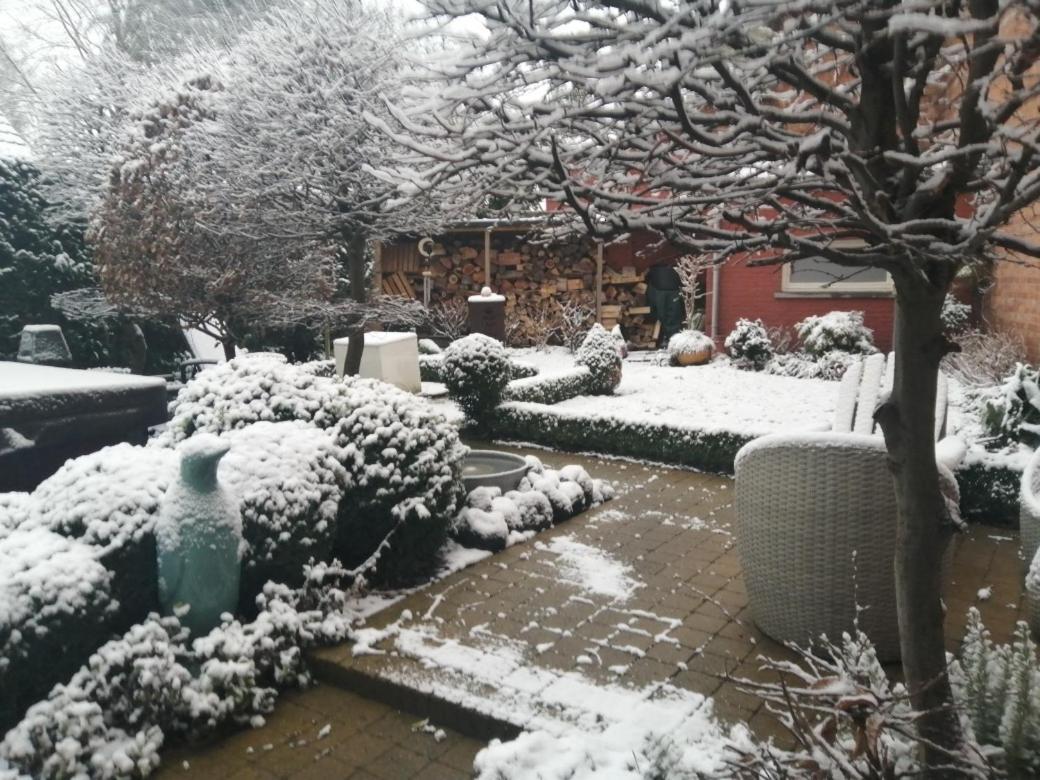 Adamas B&B Dendermonde Esterno foto