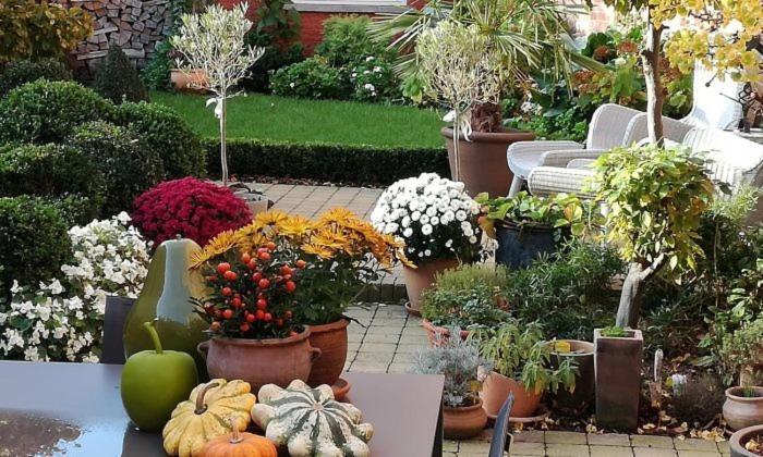 Adamas B&B Dendermonde Esterno foto